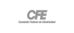 logosiinpro_01